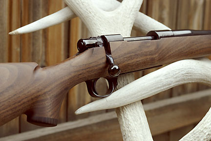 Gun Stock